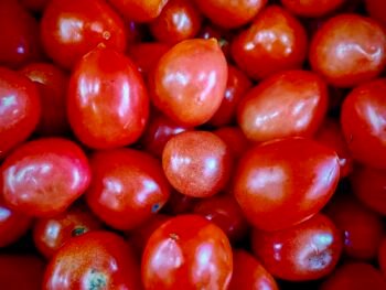 Jitomates Chicos, 1kg