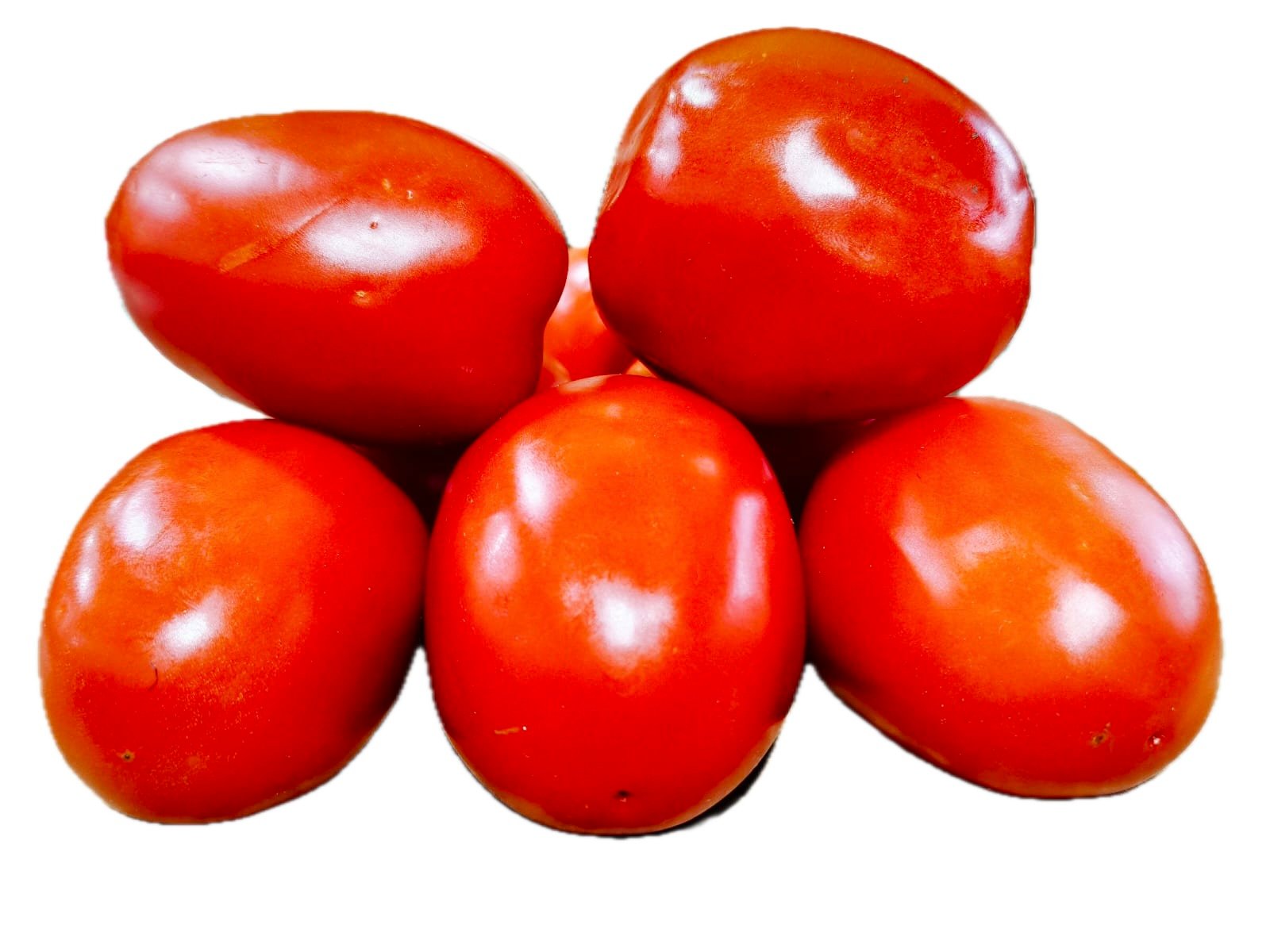 WhatsApp Image 2026-04-14 at 17.54.44