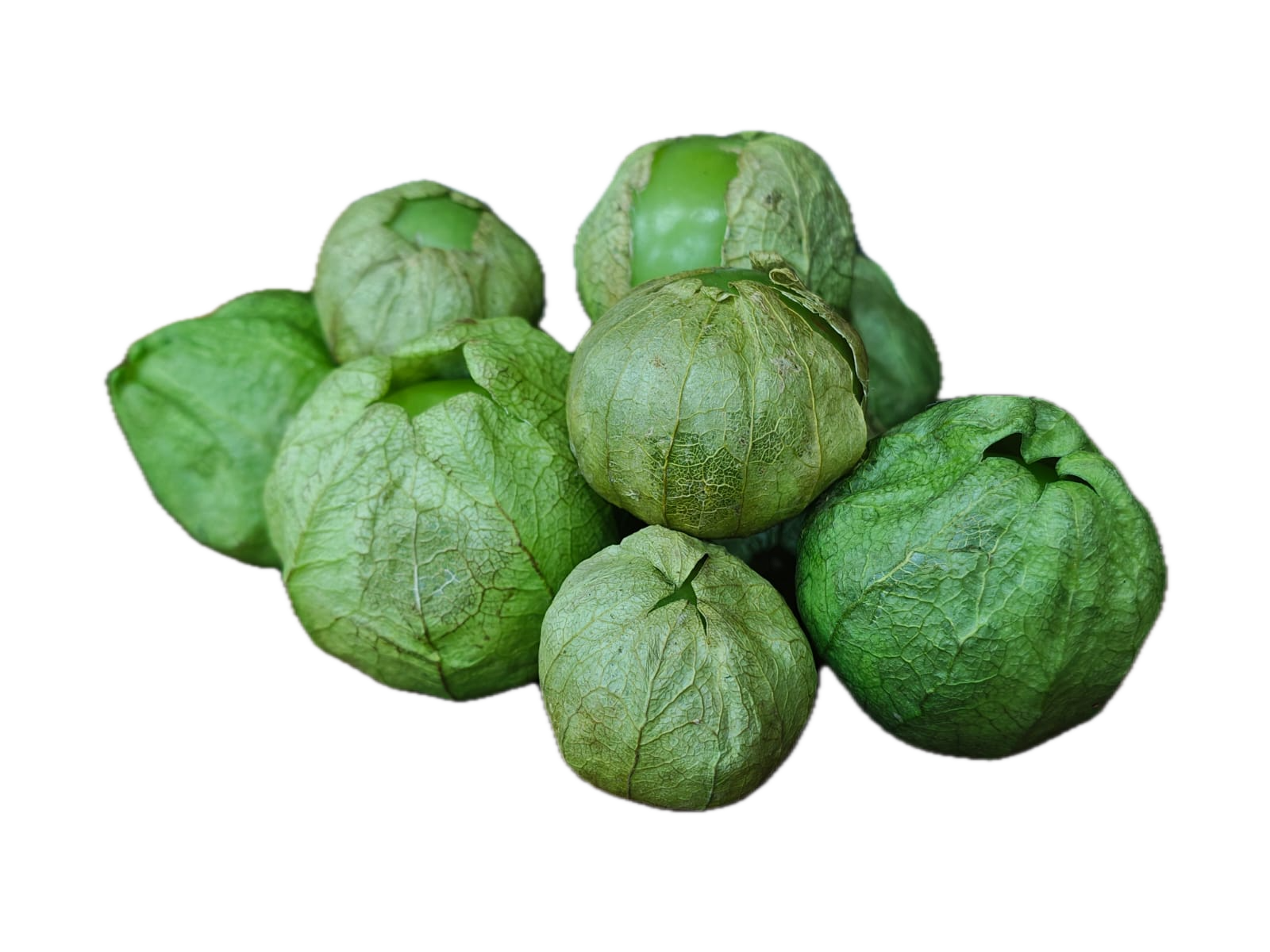 WhatsApp Image 2026-04-14 at 18.43.34