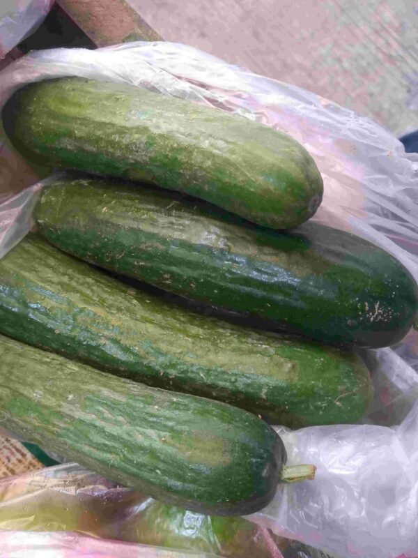 Pepinillos
