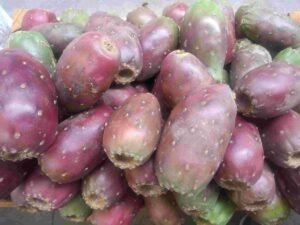 Tunas Rojas