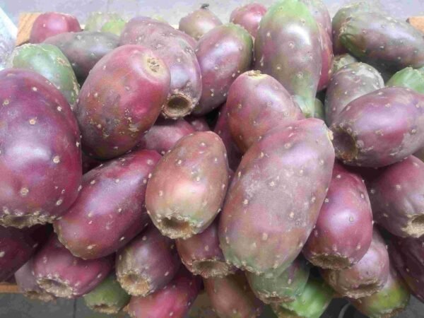 Tunas Rojas