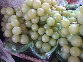 Uvas Verdes Premium