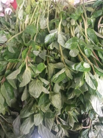 Yerbabuena, hierbabuena