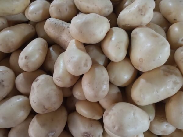 Pieza de Papa (165g aprox.)