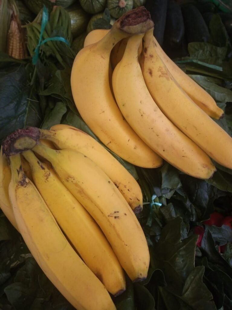 Platano Tabasco, 1K