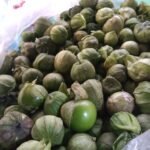 tomatillo