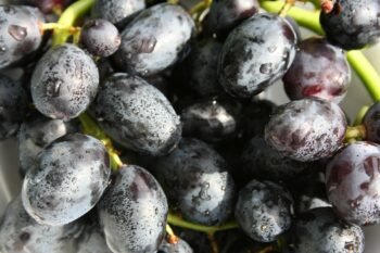 Uvas Negras