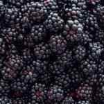 “A close-up photograph of fresh, ripe blackberries.”