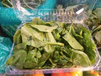 Espinacas Baby (domo)