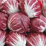 Lechuga radicchio