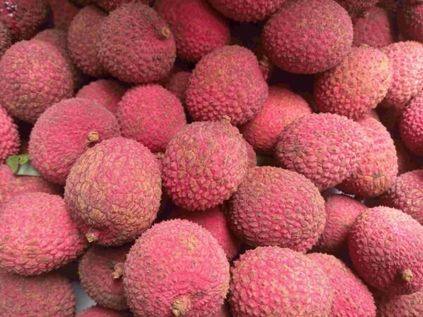 Lichis, litchis