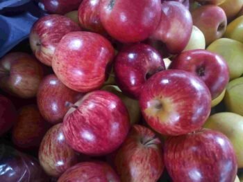 Manzanas Dobles Rojas Nacionales Chicas