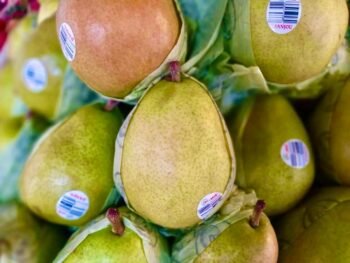 Peras Mantequillas, D' Anjou