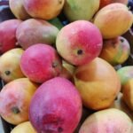 WhatsApp Image 2025-05-16 at 12.26.51