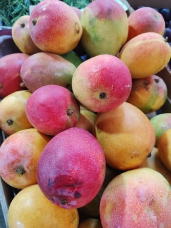 Mangos Heidis, Mangos Bola