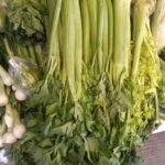 apio