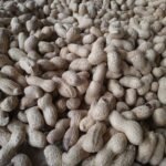 cacahuate