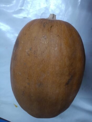 Calabazas de Castilla Amarillas