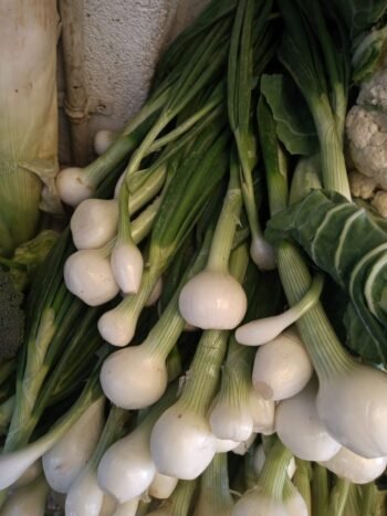 Cebollas Cambray, cebollitas cambray (kg)