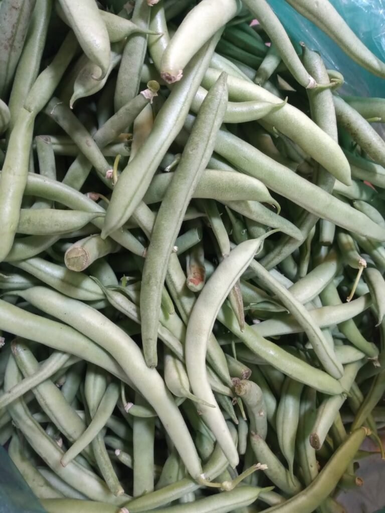 Ejotes