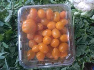 Golden Berry