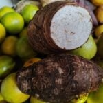 malanga-taro