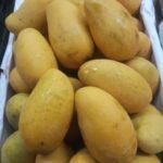 mango ataulfo