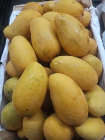 Mangos Ataulfos