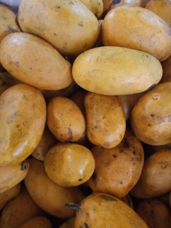 Mangos Ataulfos Niños