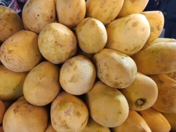 Mangos Manilas
