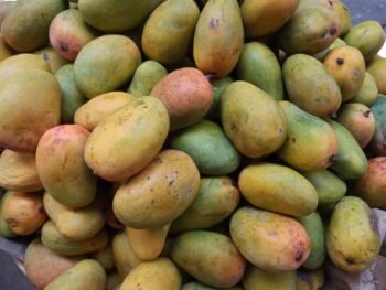 Mangos Perlas