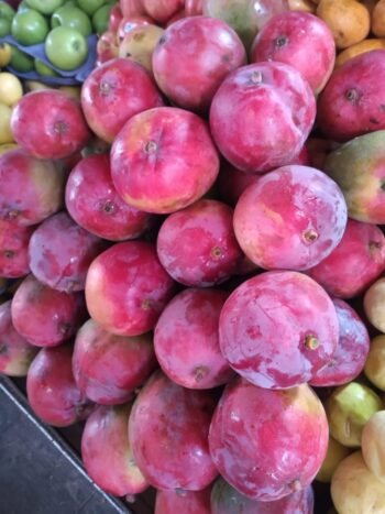 Mangos Tomys, Mangos Bola