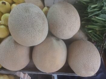 Melones