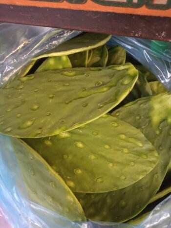 Nopales