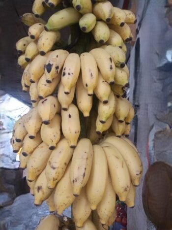 Platanos Manzanos