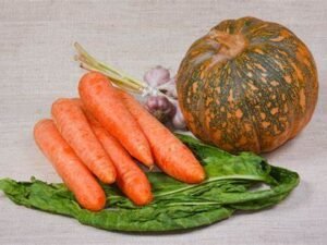 Calabazas, Chayotes y Zanahorias