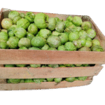 5BB7D116-0240-44E2-A678-A11ABBD23C43