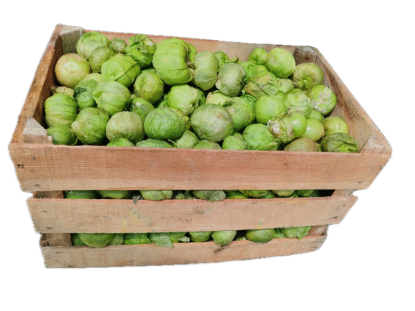 Caja de Tomate con 24kg aprox.