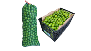 Caja o Bulto de Limón