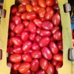 WhatsApp Image 2025-05-15 at 13.33.10 (1)