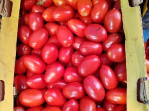 Caja de Jitomate