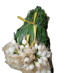 WhatsApp Image 2025-05-20 at 21.35.00