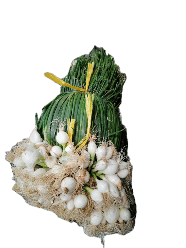 Manojo de Cebollas Cambray, cebollitas cambray