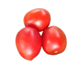 WhatsApp Image 2025-05-20 at 21.35.01 (4)