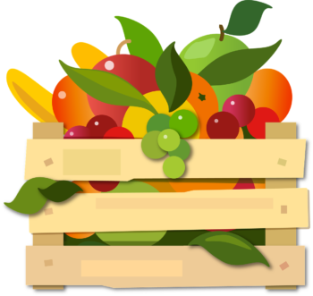 Productos por Mayoreo