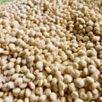 WhatsApp Image 2025-10-21 at 22.17.39